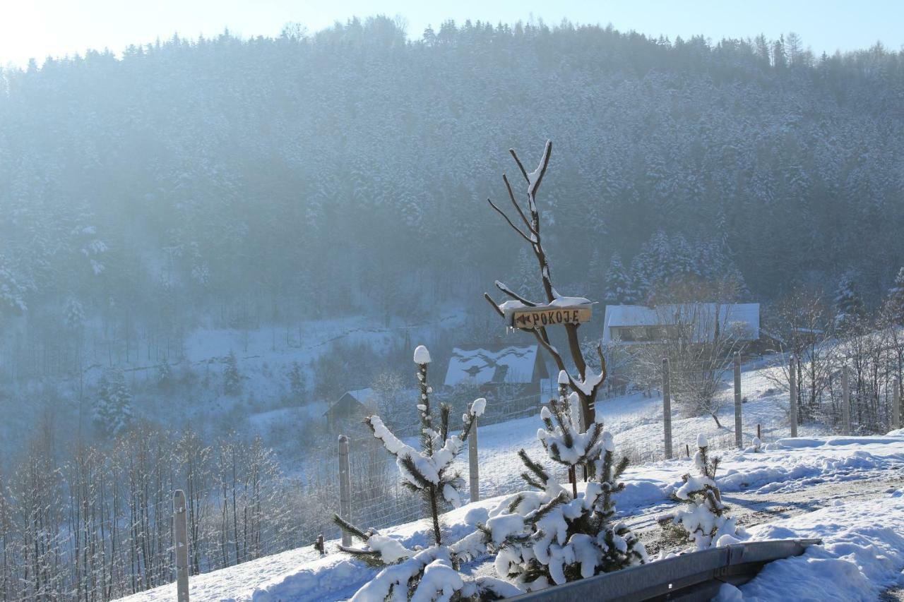 Nad Zalewem Villa Jaszczurowa Eksteriør bilde